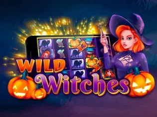 Wild Witches game screenshot