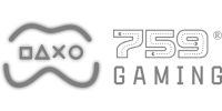 Bonza Gaming logo